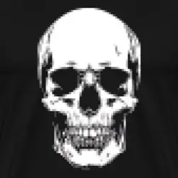 pixelated-skull-maenner-premium-t-shirt_13