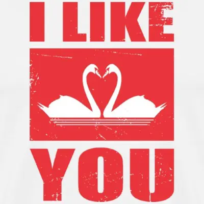 i-like-you-maenner-premium-t-shirt_design_1