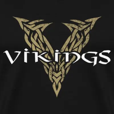 vikings-v-maenner-premium-t-shirt_design_9
